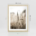 Plakat w ramie 30x40 - Kłosy Pszenicy w Sepii - zboże, kłos pszenicy - rama drewno