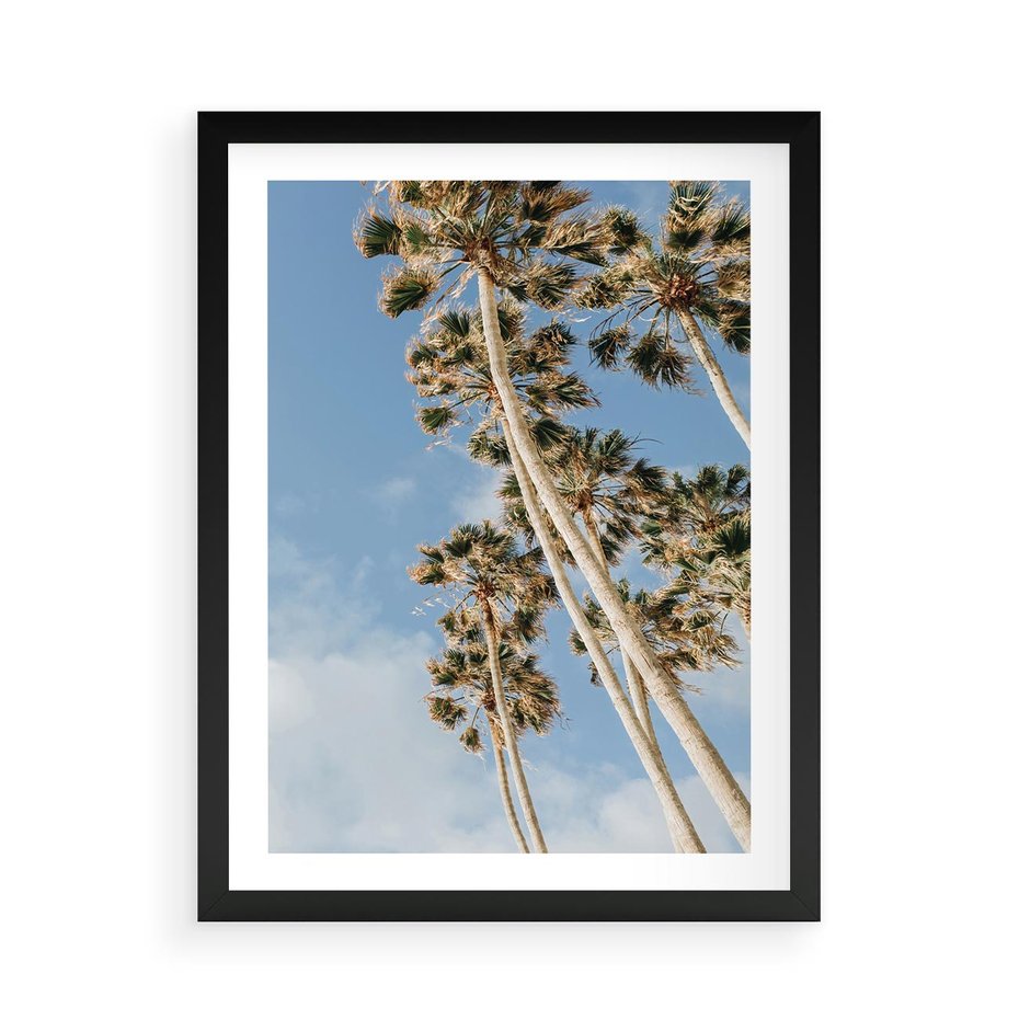 Plakat w ramie 50x70 - Pod Niebem Palmy - palmy na niebieskim niebie - rama czarna