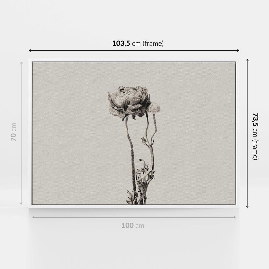 Obraz w ramie 100x70 - Cień Kwiatowej Delikatności - kwiat, cień - rama biała