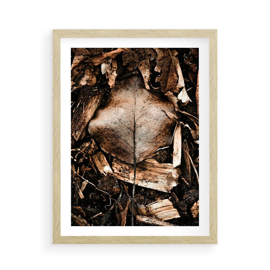 Plakat w ramie 50x70 - Samotny Liść - liść, brąz - rama drewno
