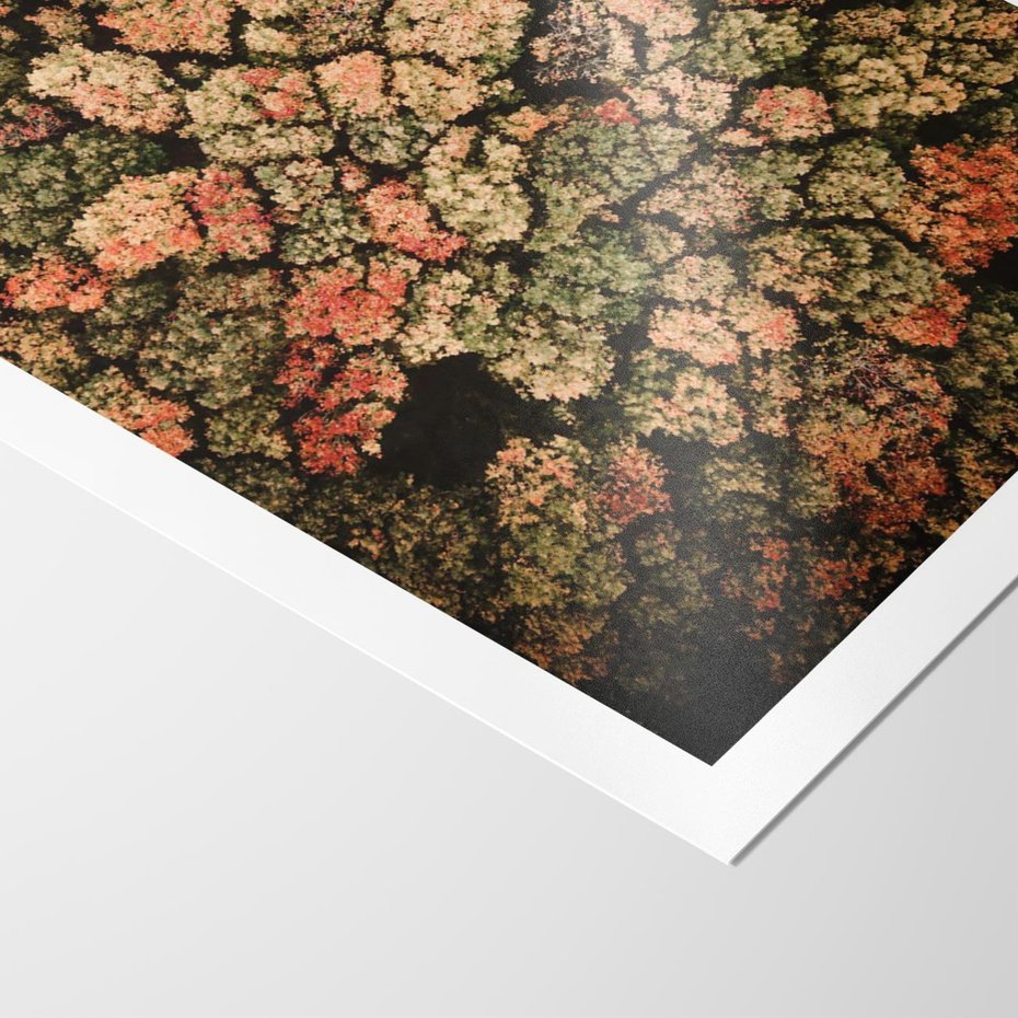 Plakat bez ramy 21x30 - Jesień z Lotu Ptaka: Malowniczy Las - las jesienią z lotu ptaka