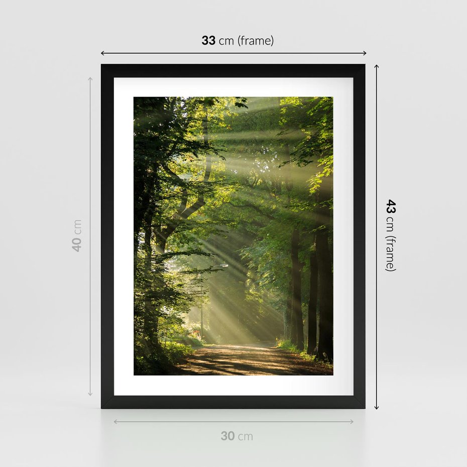 Plakat w ramie 30x40 - harmonia natury - las, drzewa - rama czarna