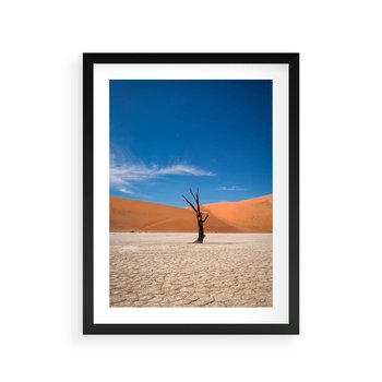 Plakat w ramie 30x40 - Słońce i Suche Drzewo - pustynia, suche - rama czarna