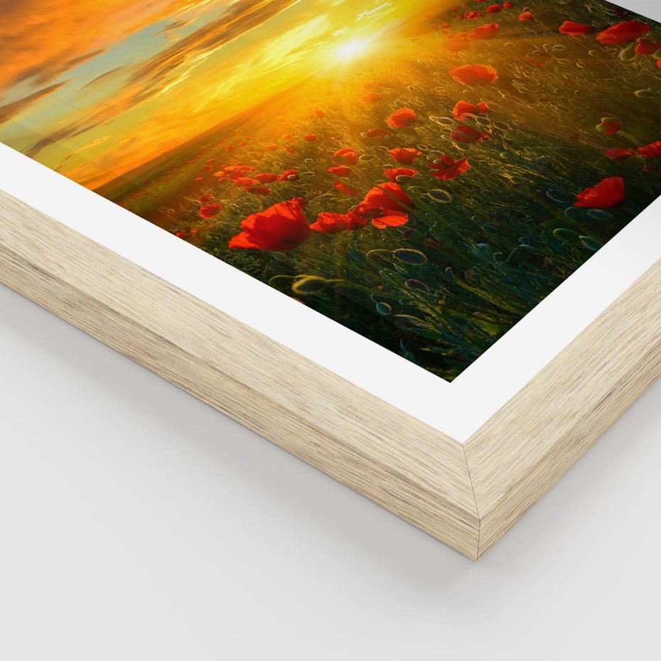 Plakat w ramie 40x50 - Magia zachodu słońca na łące z makami - łąka, zachód słońca - rama drewno