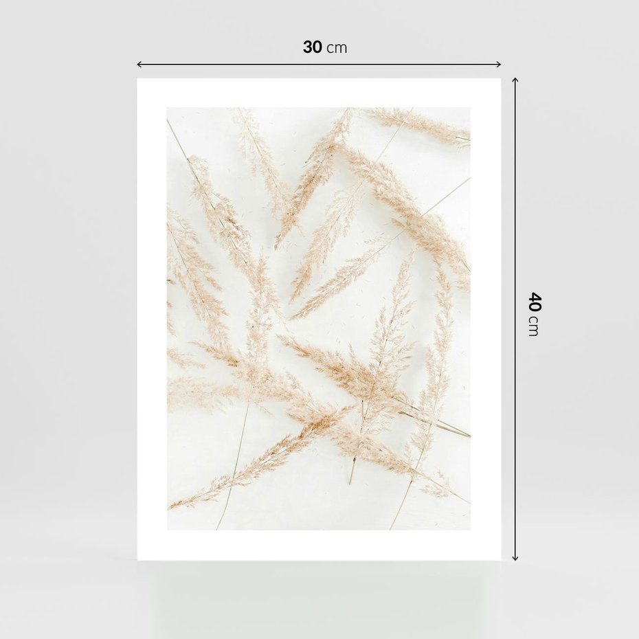 Plakat bez ramy 30x40 - Pampas w Stylu Boho: Kompozycja Natury - suche trawy, pampas