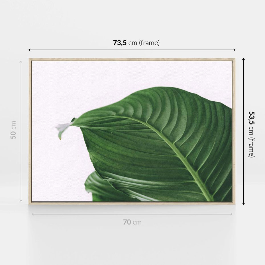 Obraz w ramie 70x50 - Zielone liście monstery - liście, monstera - rama drewno