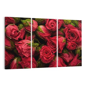 Obraz na płótnie 120x80 - Piękno róż: delikatność natury - róże, kwiaty