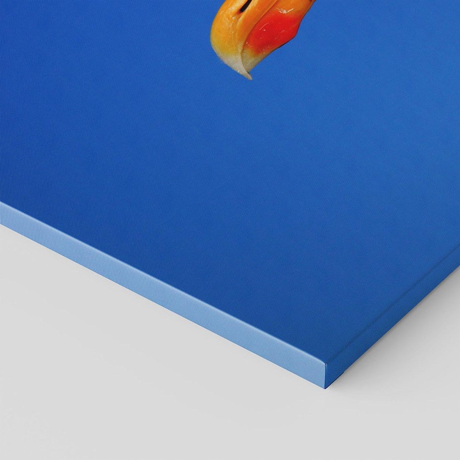 Obraz na płótnie 70x50 - Mewa nad morzem - mewa, pstak