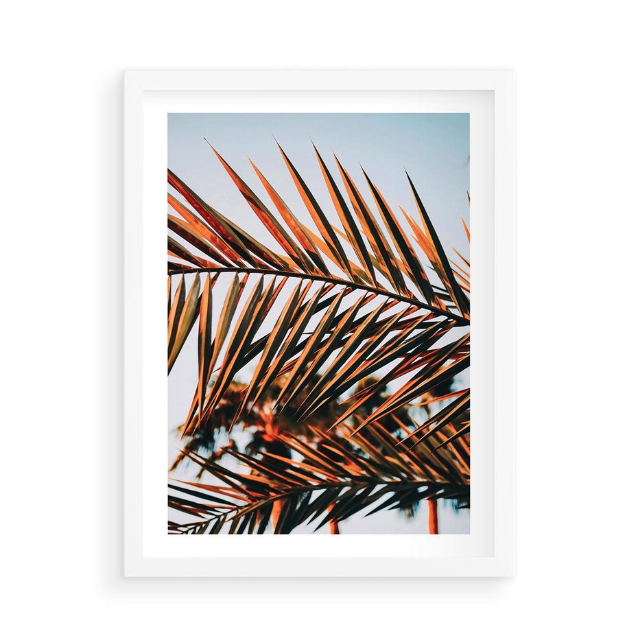 Plakat w ramie 50x70 - Tropikalna Harmonia - palma, liście palmy - rama biała