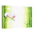 Obraz na płótnie 70x50 - Orchidea, Bambus i Relaks w SPA - orchidea, kwiat