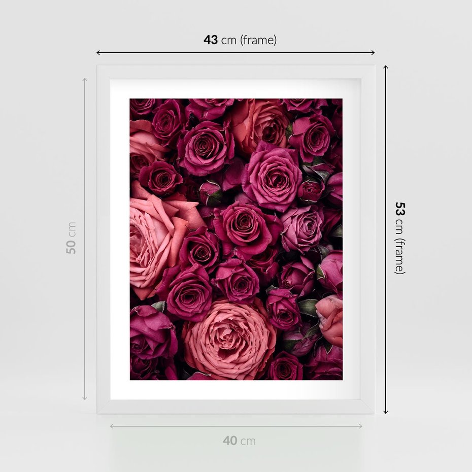 Plakat w ramie 40x50 - Róże - piękno kwiatów - róże, kwiaty - rama biała