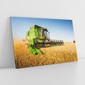 Obraz na płótnie 120x80 - Złociste żniwa na kombajnie - kombajn, zboże