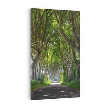 Obraz na płótnie 50x70 - Magiczny Las - drzewa, las