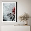 Plakat bez ramy 30x40 - Makro Magii Natury - dmuchawiec, zbliżenie makro