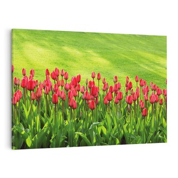 Obraz na płótnie 100x70 - Tulipanowy raj - kwiat, kwiaty