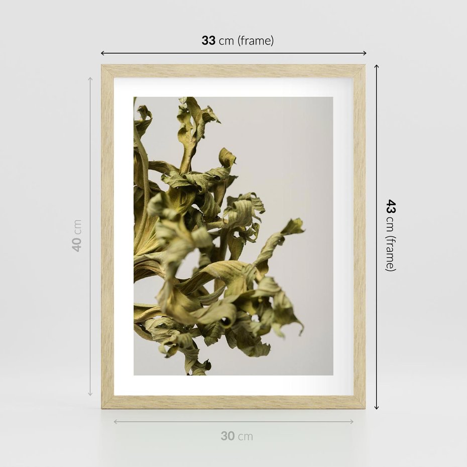 Plakat w ramie 30x40 - Odejście pory deszczowej - suche, trawy - rama drewno