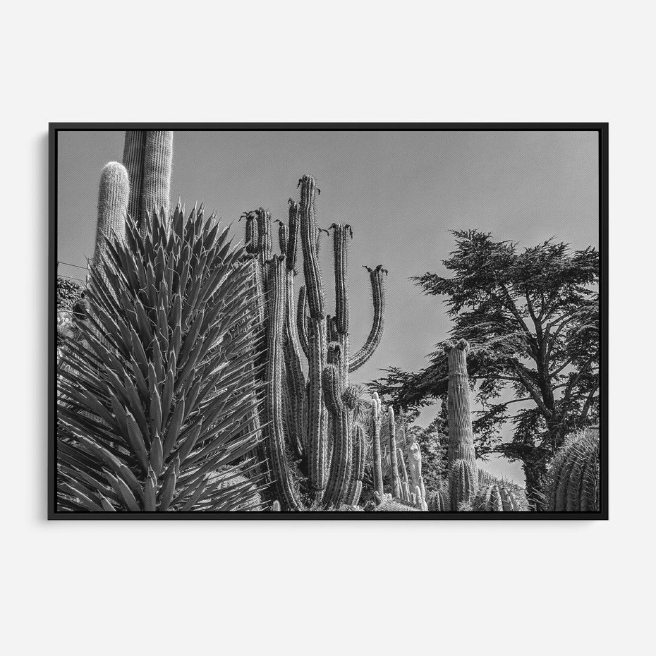 Obraz w ramie 70x50 - Pustynny Klimat - czarno białe zdjecie, pustynia - rama czarna
