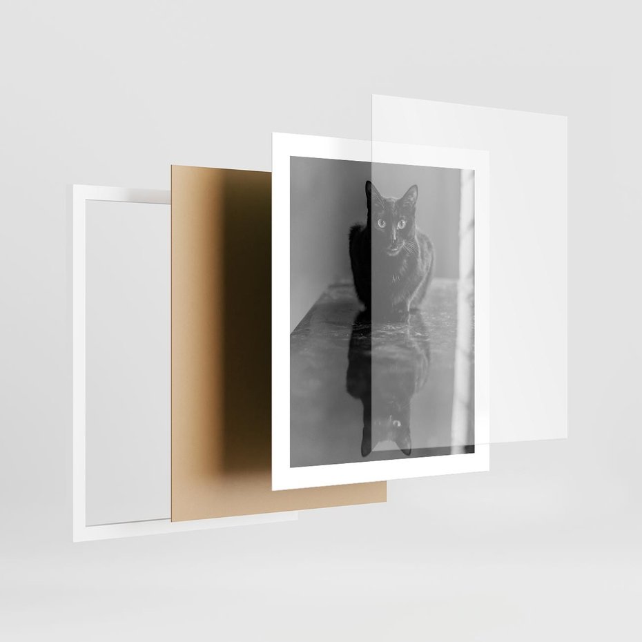 Plakat w ramie 40x50 - Kocie Oczy - kot, czarno białe zdjęcie - rama biała