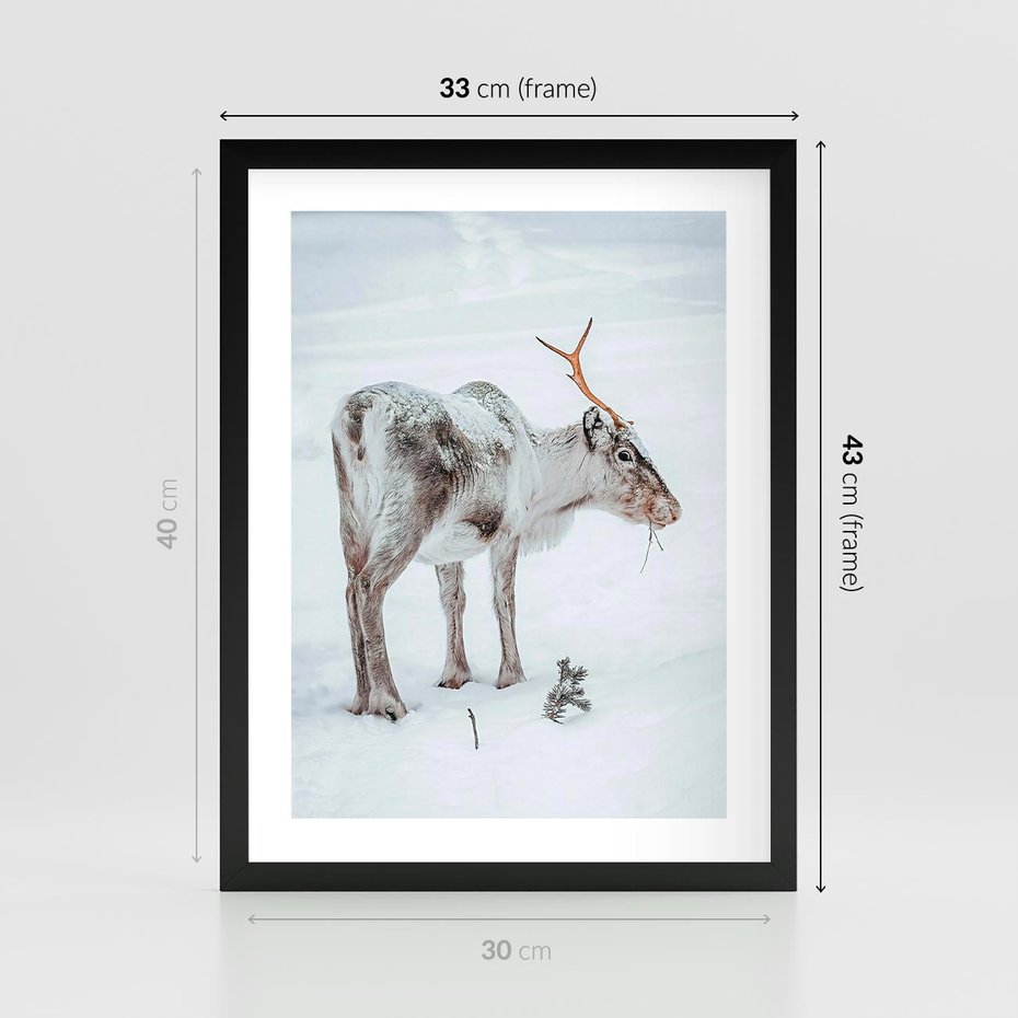Plakat w ramie 30x40 - Magia Świąt - renifer na śniegu, śnieg - rama czarna