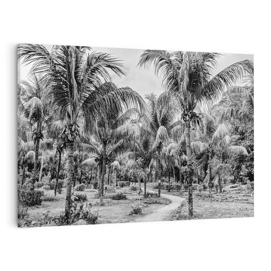 Obraz na płótnie 70x50 - Mroczna Ścieżka Tropików - czarno biała fotografia, ścieżka pośród palm