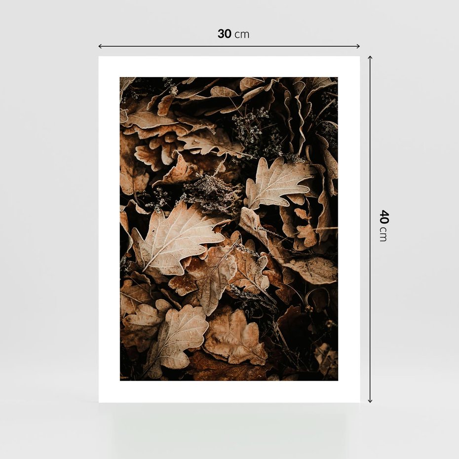 Plakat bez ramy 30x40 - Jesienna Melodia: Liście i Szyszki - suche liście, szyszki