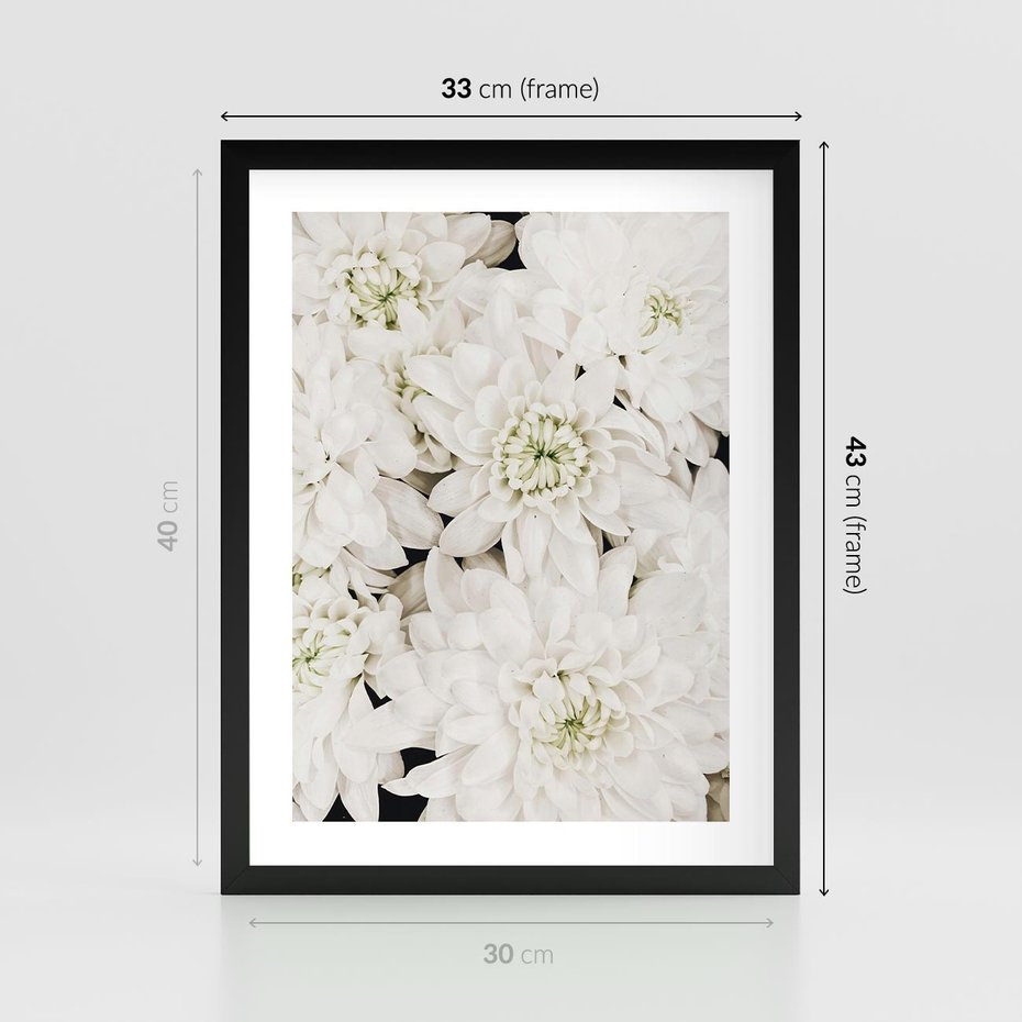 Plakat w ramie 30x40 - Białe Kwiaty: Płatki Delikatności - białe kwiaty, zbliżenie - rama czarna