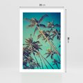 Plakat bez ramy 21x30 - Tropikalne palmy w krainie słonecznych wakacji - palmy, tropiki