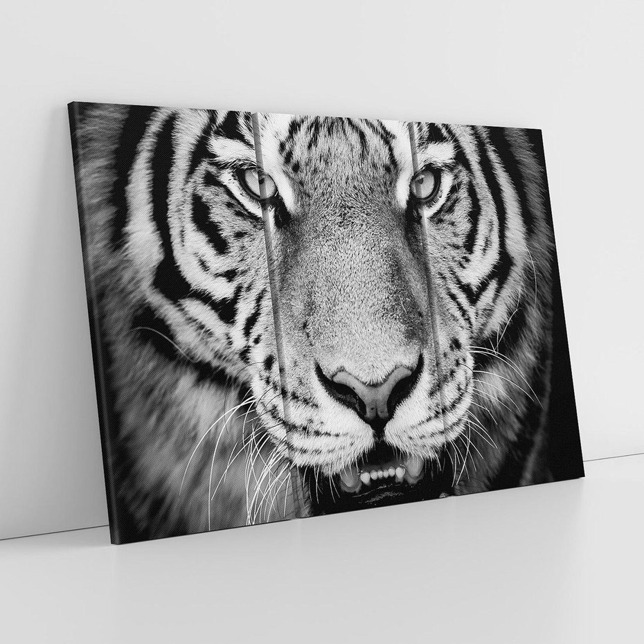Obraz na płótnie 120x80 - Tygrys Czarno-Biały: Siła i Delikatność - tygrys, czarno