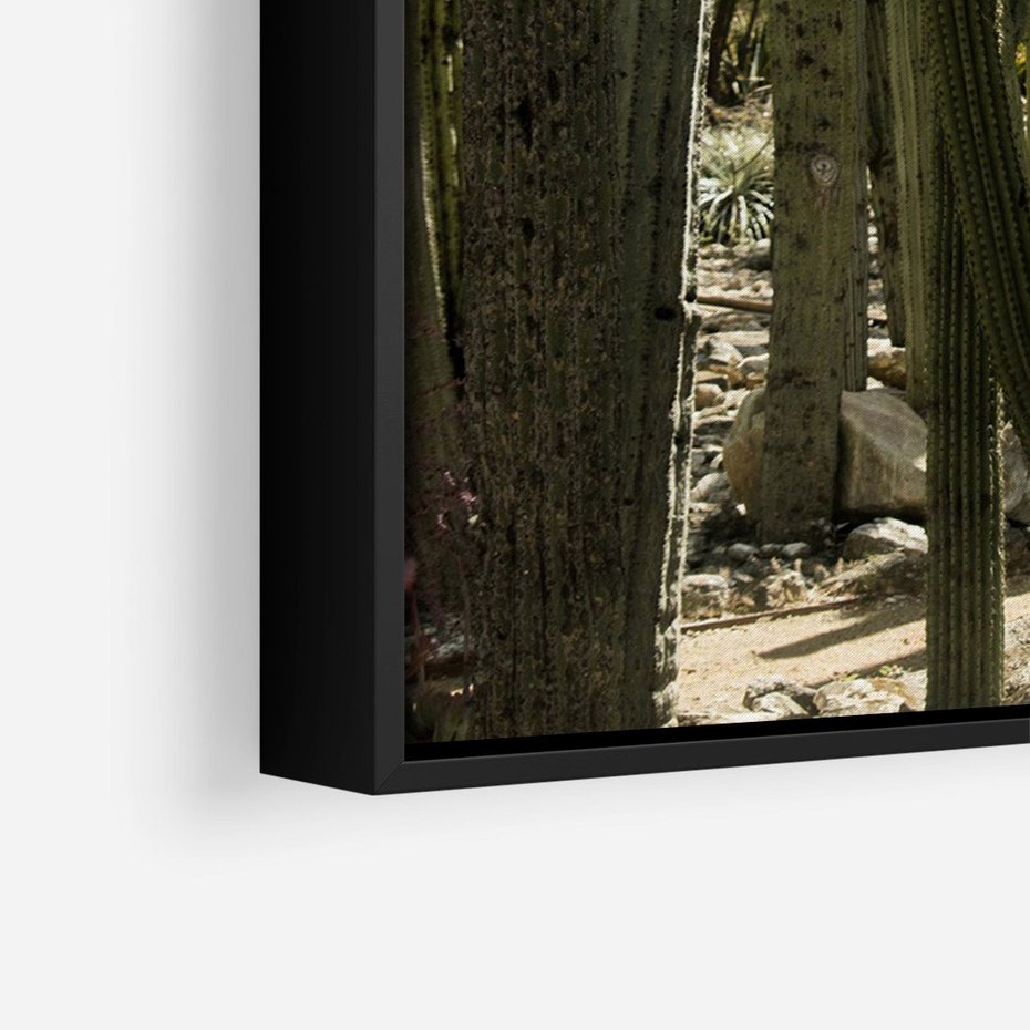 Obraz w ramie 50x70 - Wyjątkowy Klimat Boho - kaktusy, pustynia - rama czarna