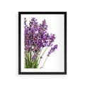 Plakat w ramie 30x40 - Pola lawendy w pełnym rozkwicie - lawenda, kwiaty - rama czarna