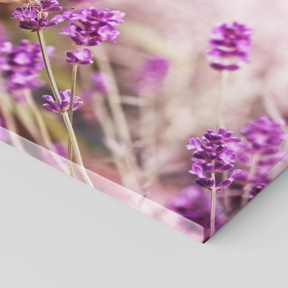 Obraz na płótnie 70x100 - Majestat lawendy: fioletowe pola - lawenda, fiolet