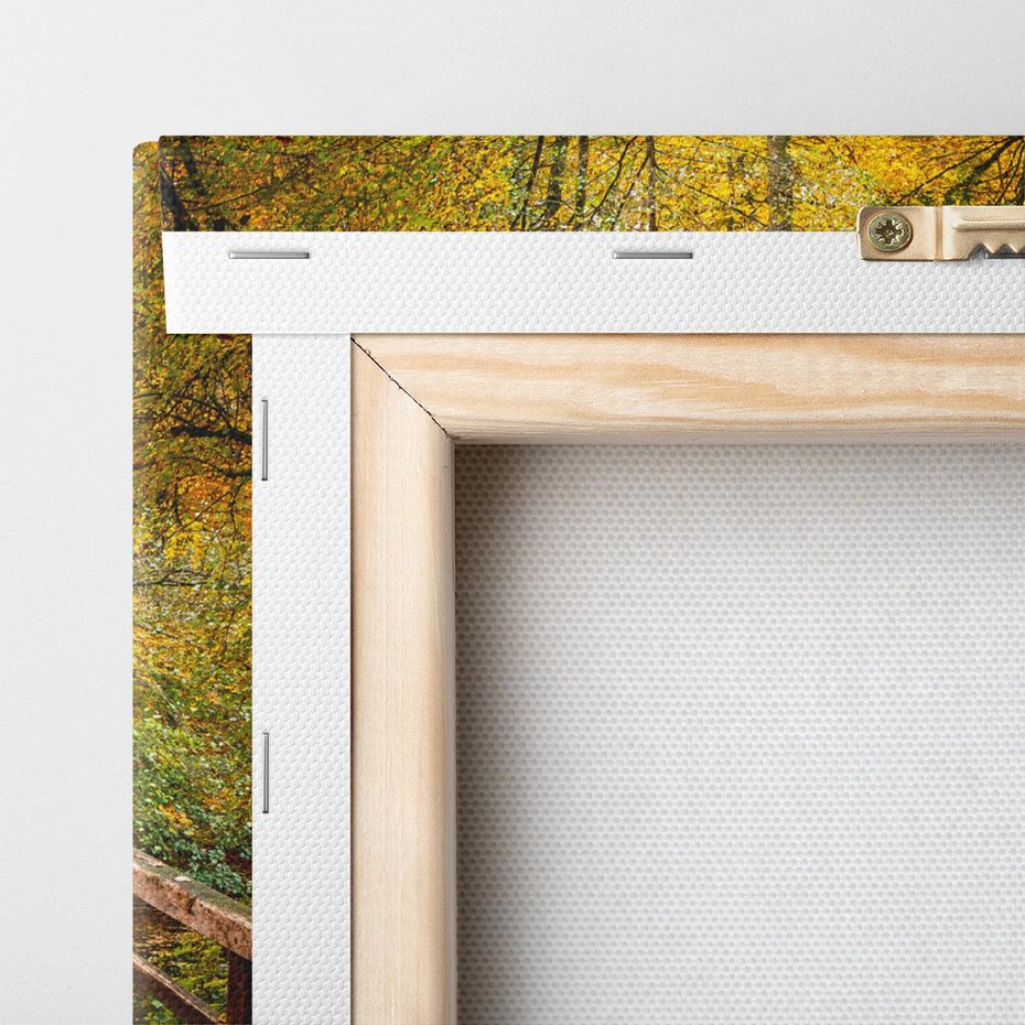 Obraz na płótnie 50x50 - Spacer Ścieżką w Las - ścieżka, spacer