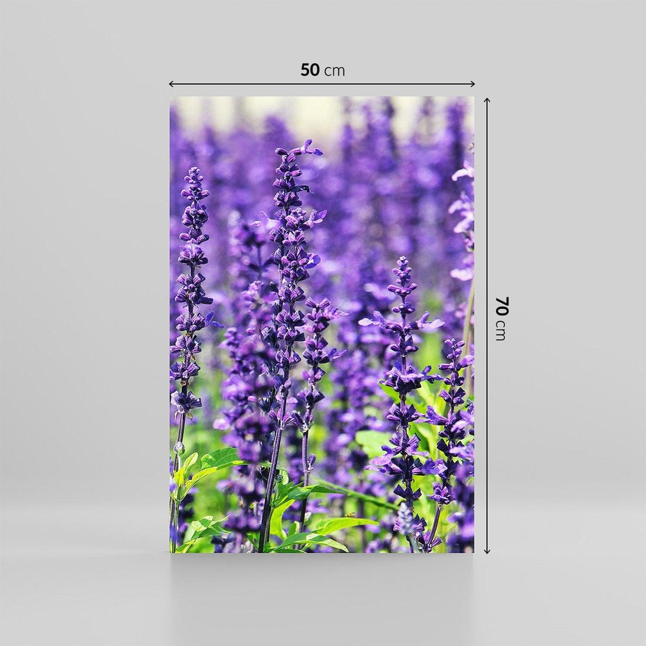 Obraz na płótnie 50x70 - Lawendowa Mgła - lawenda, kwiat