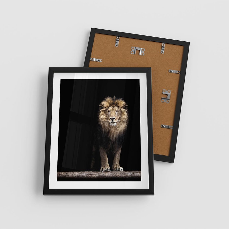 Plakat w ramie 40x50 - Lew: dzikie piękno natury - lew, dzikie - rama czarna