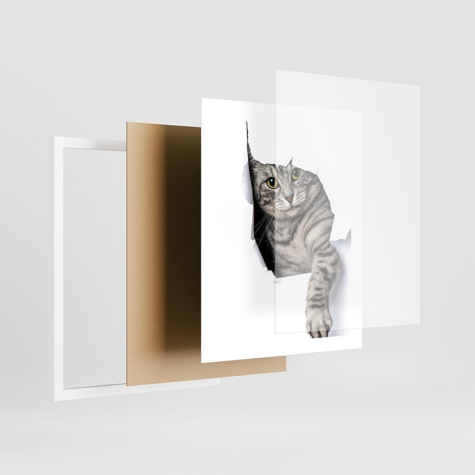 Plakat w ramie 40x50 - Tajemniczy kot i jego świat - kot, dziura - rama biała