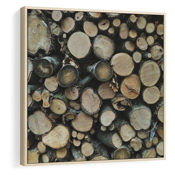 Obraz w ramie 50x50 - Bliskość Natury - drewno, las - rama drewno