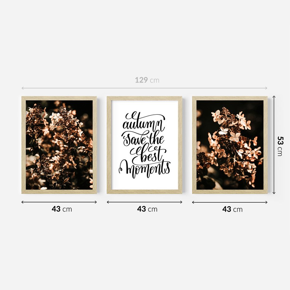 Zestaw obrazy w ramie 40x50 galeria - Hortensja, kwiaty, suche, cytat - rama drewno