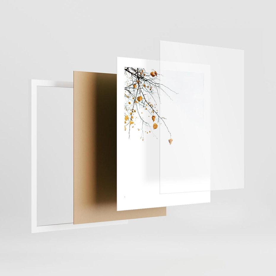 Plakat w ramie 40x50 - Złota Jesień - drzewo, żółte liście - rama biała
