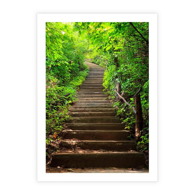 Plakat bez ramy 21x30 - Lasowa ścieżka pełna tajemnic - ścieżka, schody