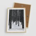 Plakat w ramie 50x70 - Zimowe Drzewa: Śnieg na Pniach - drzew w zimi, pnie drzew - rama drewno