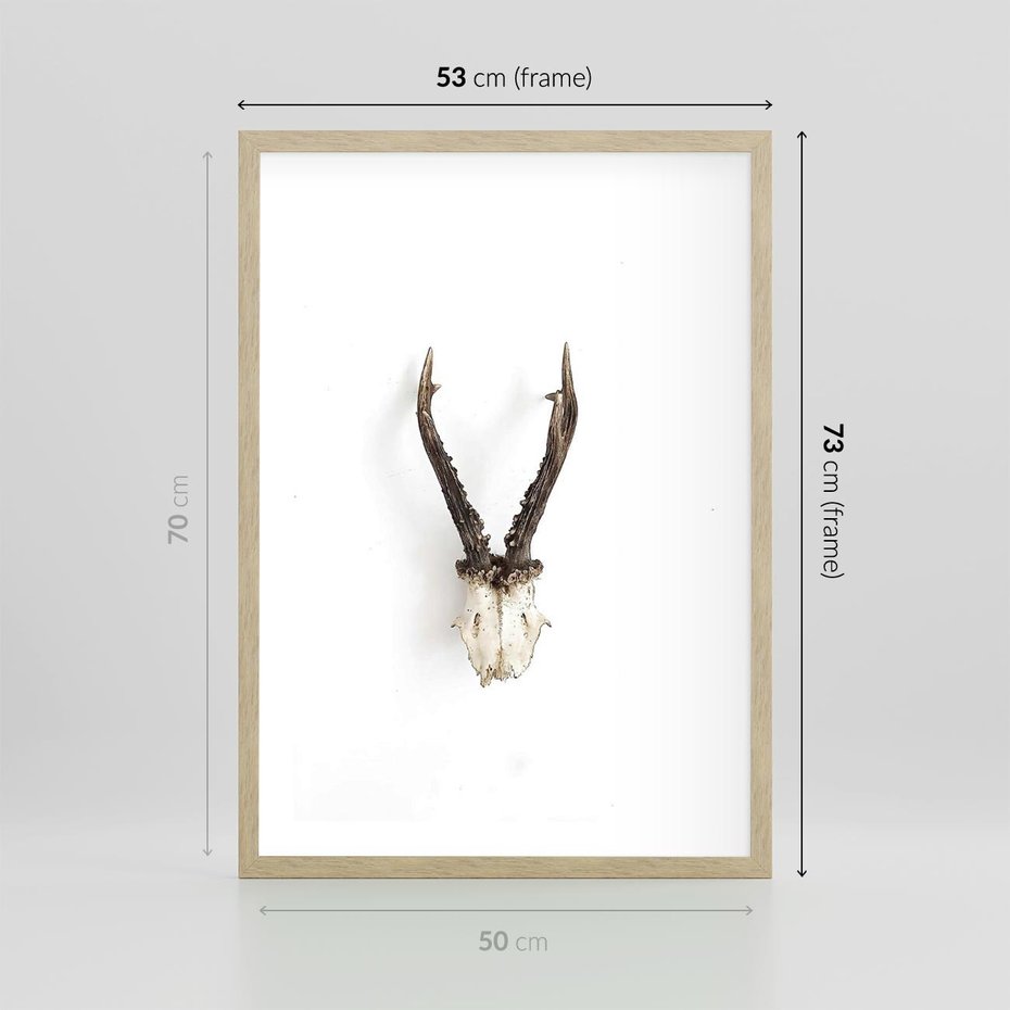 Plakat w ramie 50x70 - Minimalistyczne Poroże Jelenia - poroże jelenia na ścianie, minimalizm - rama drewno