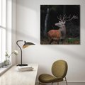 Obraz na płótnie 40x40 - Spotkanie z naturą - jeleń, las