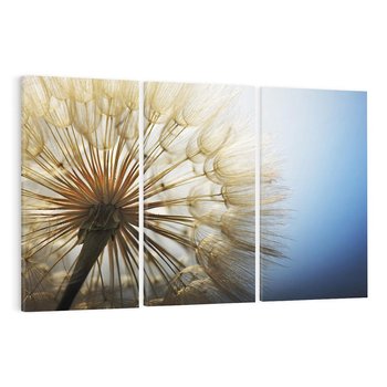 Obraz na płótnie 120x80 - Delikatny dmuchawiec w pełnym rozkwicie - dmuchawiec, kwiat