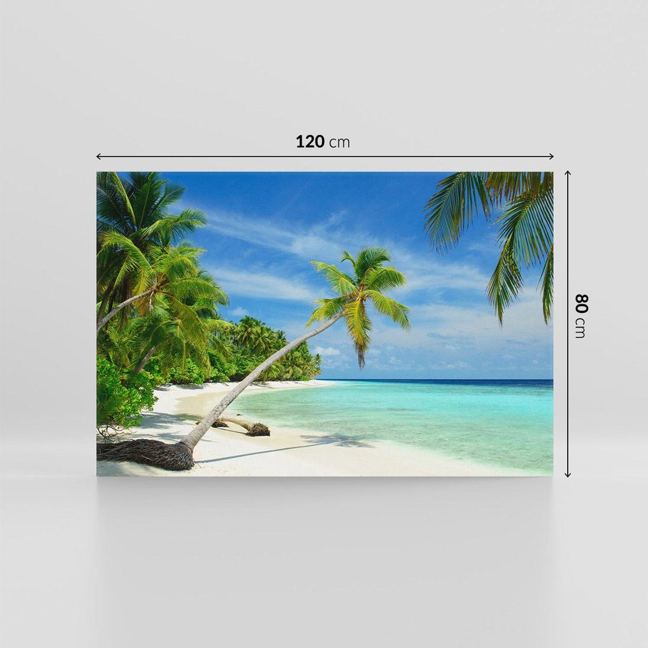 Obraz na płótnie 120x80 - Raj na Malediwach: plaża, morze i palmy - Malediwy, plaża