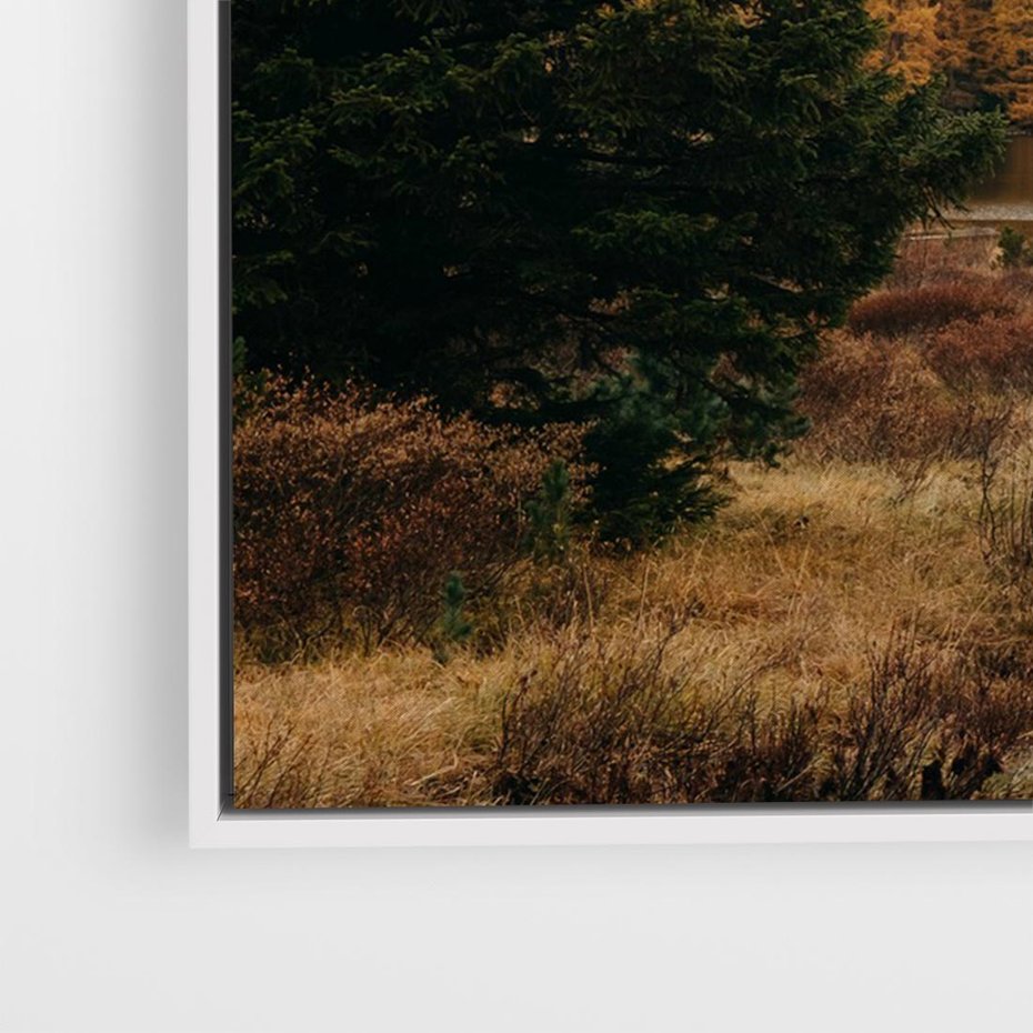 Obraz w ramie 120x80 - W Górskiej Dolinie - artystyczna fotografia, las - rama biała