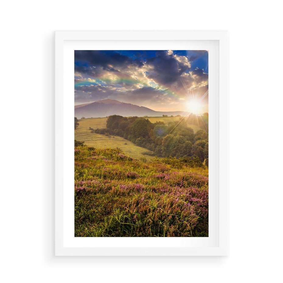 Plakat w ramie 50x70 - Pejzaż na łące - pejzaż, łąka - rama biała