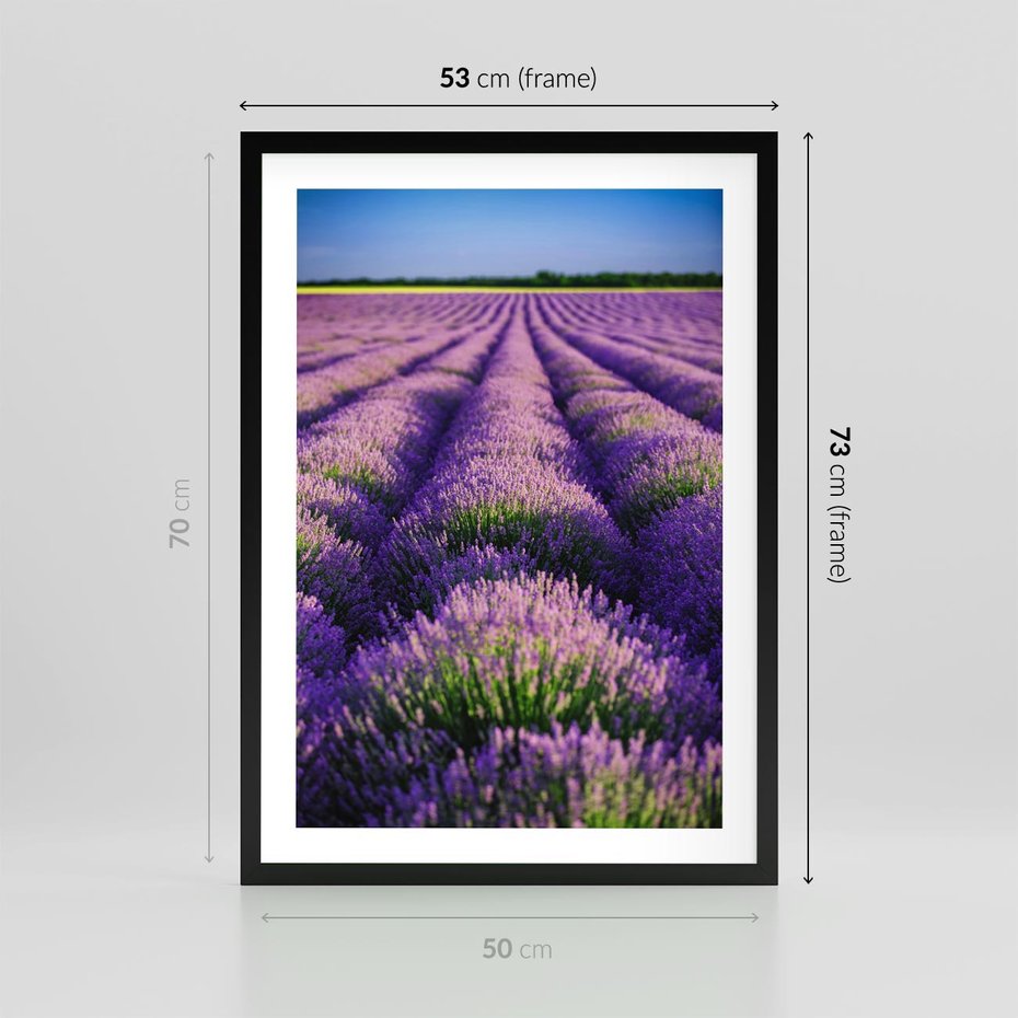 Plakat w ramie 50x70 - Malownicze Pole Lawendy - lawenda, pole - rama czarna