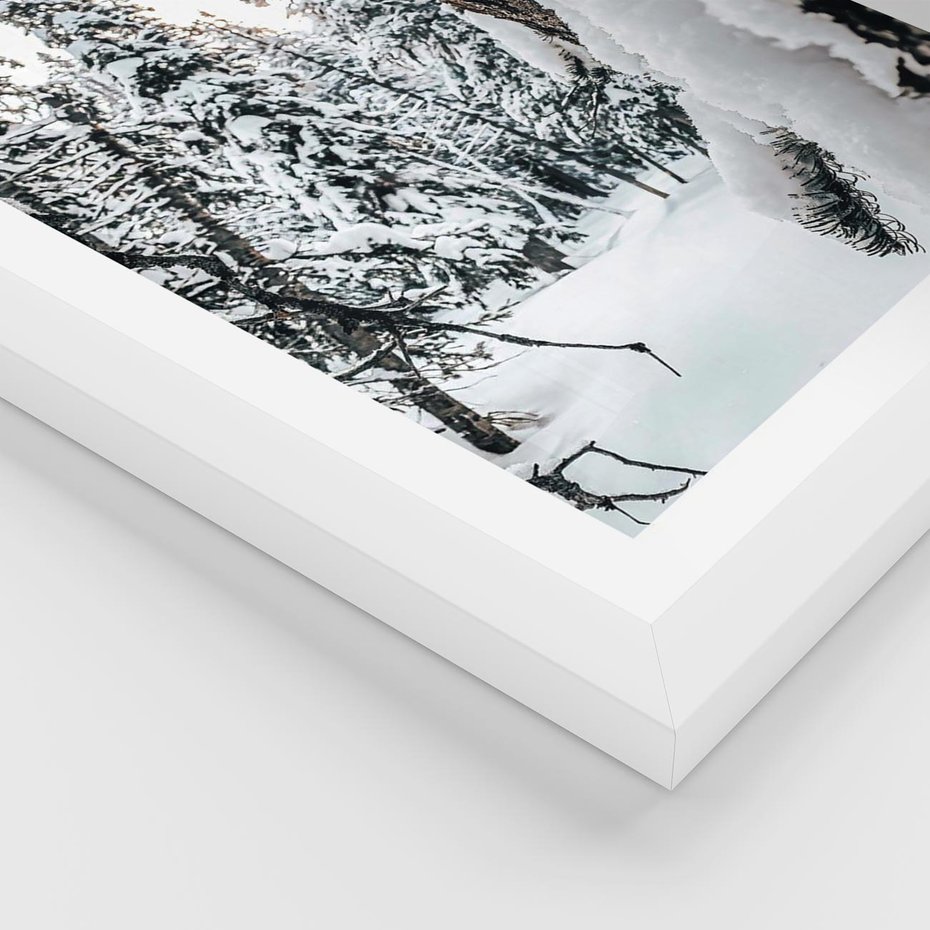 Plakat w ramie 40x50 - Drzewa pod Śniegiem - zima las, drzewa pod śniegiem - rama biała