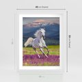 Plakat w ramie 40x50 - Koń Góry: Spotkanie z Wielką Przyrodą - koń, góry - rama biała