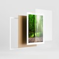 Plakat w ramie 30x40 - Spacer po urokliwej dróżce w lesie - las, dróżka - rama biała